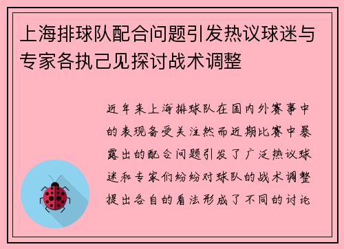 上海排球队配合问题引发热议球迷与专家各执己见探讨战术调整